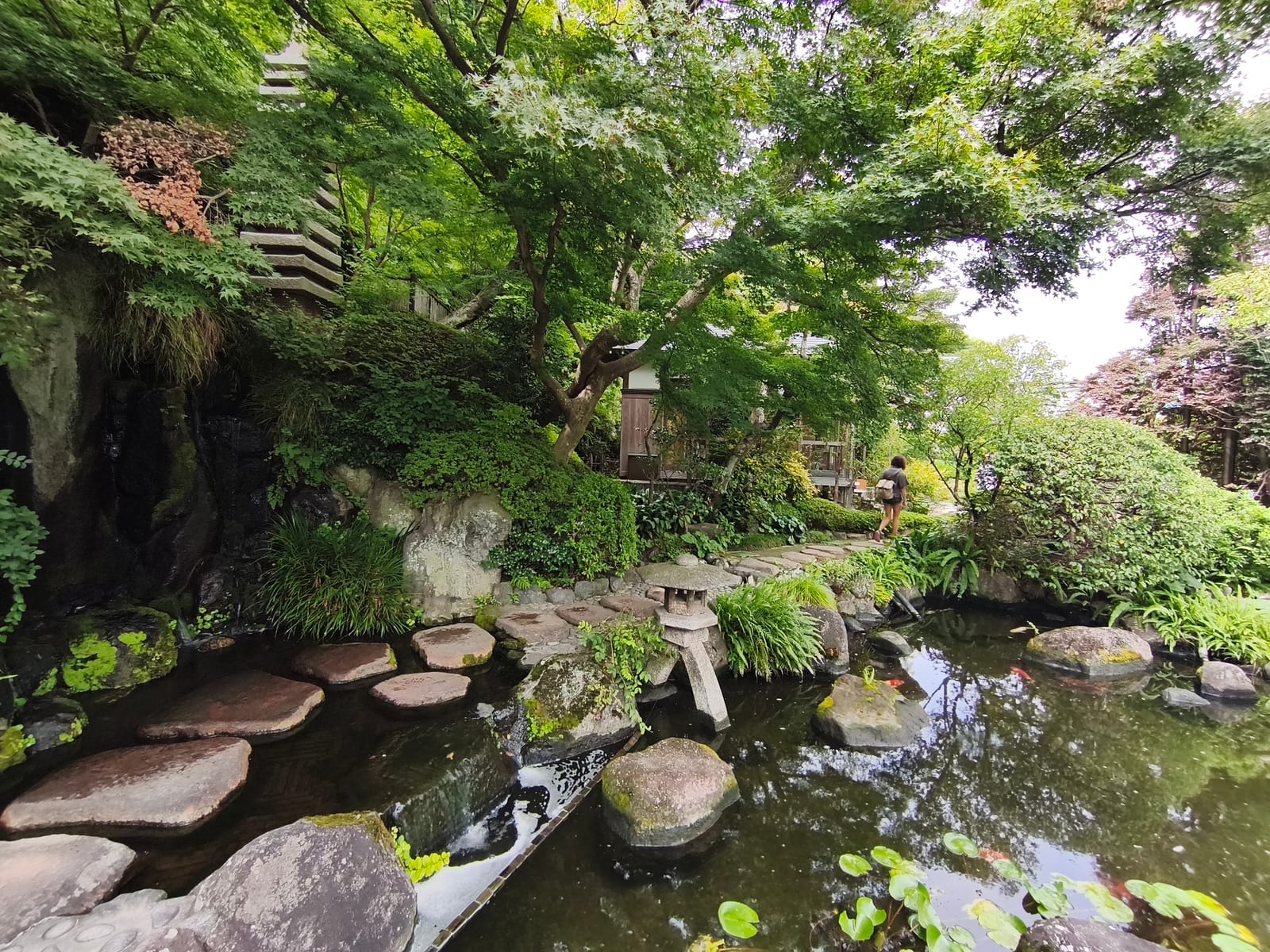 A pond garden at Hase-dera with stepping stones, ferns and overhanging trees