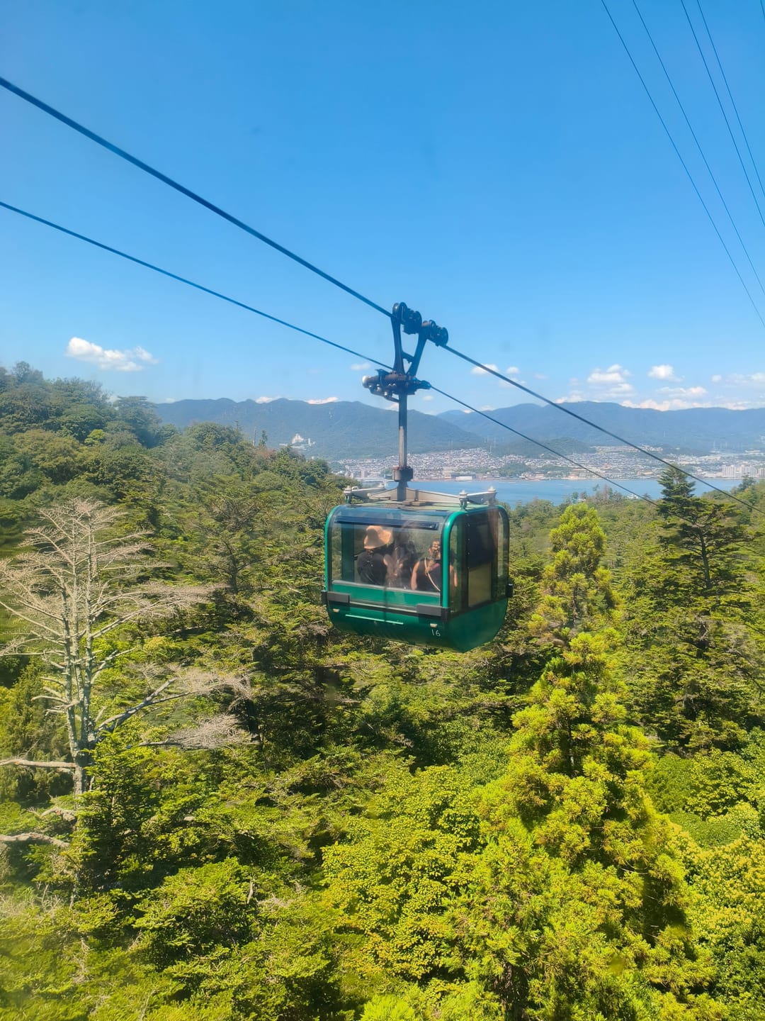 A small green cable car cabin hanging from its cable above dense forest, the sea in the distance