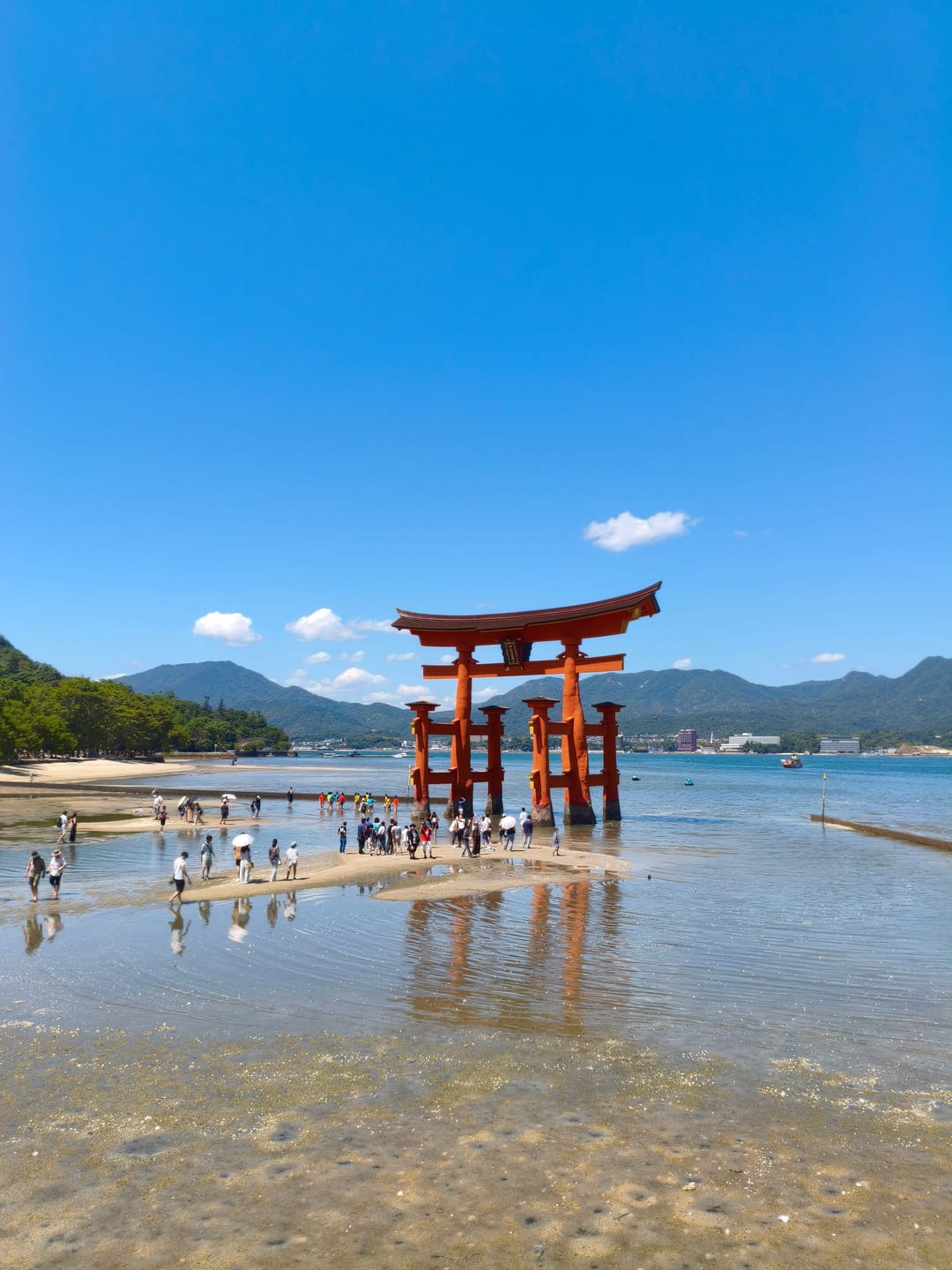The vermilion floating torii gate standing in shallow water under a clear blue sky, people on the sand nearby