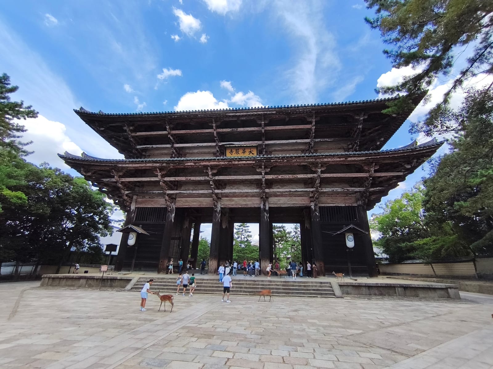 The great wooden Nandaimon gate at Todai-ji under a blue sky, with deer on the paving in front of it