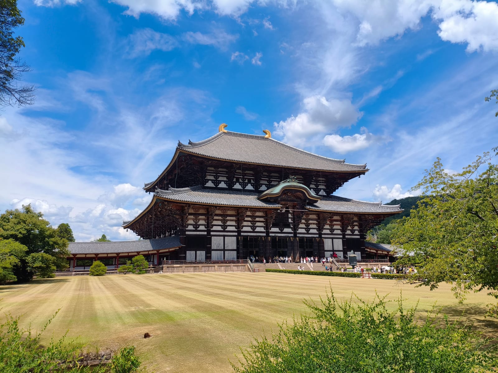 The Great Buddha Hall at Todai-ji seen across a lawn, its curved tiled roof against a blue sky