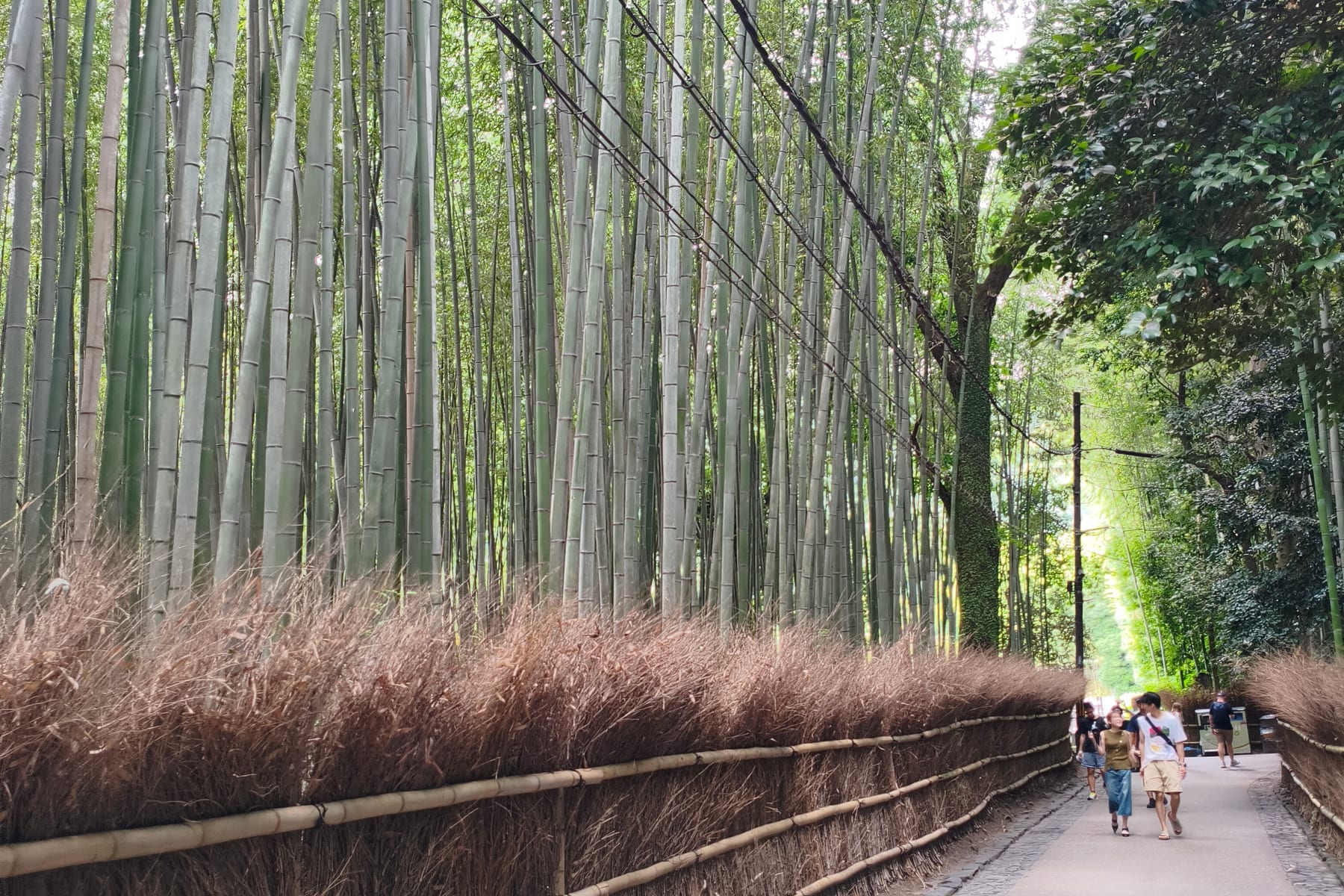 Kyoto