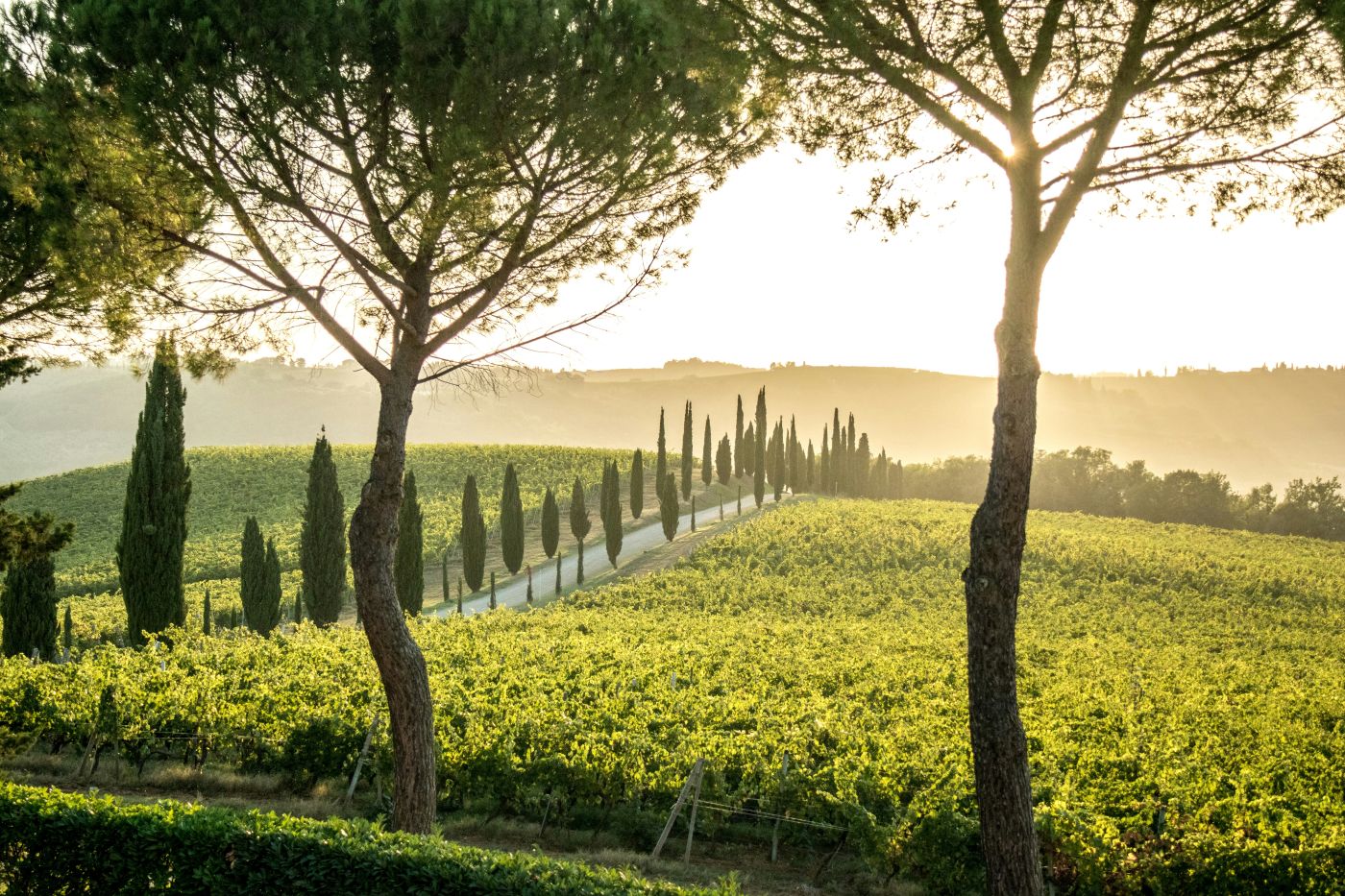Paisaje de la Toscana